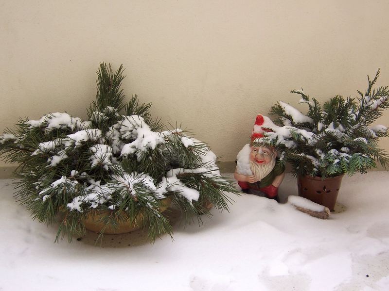 Winteridylle auf dem Balkon - ja ja, Gartenzwerg, bald stehst du wieder da wo du hingehörst)