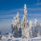 Winteridylle auf dem Hausberg