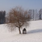 Winteridylle auf der Alm