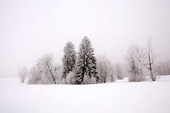 Winteridylle