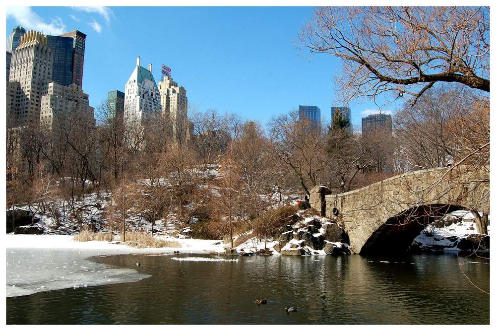 Winteridylle Central Park