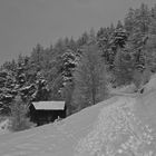 Winteridylle, für einmal monochrom gesehen