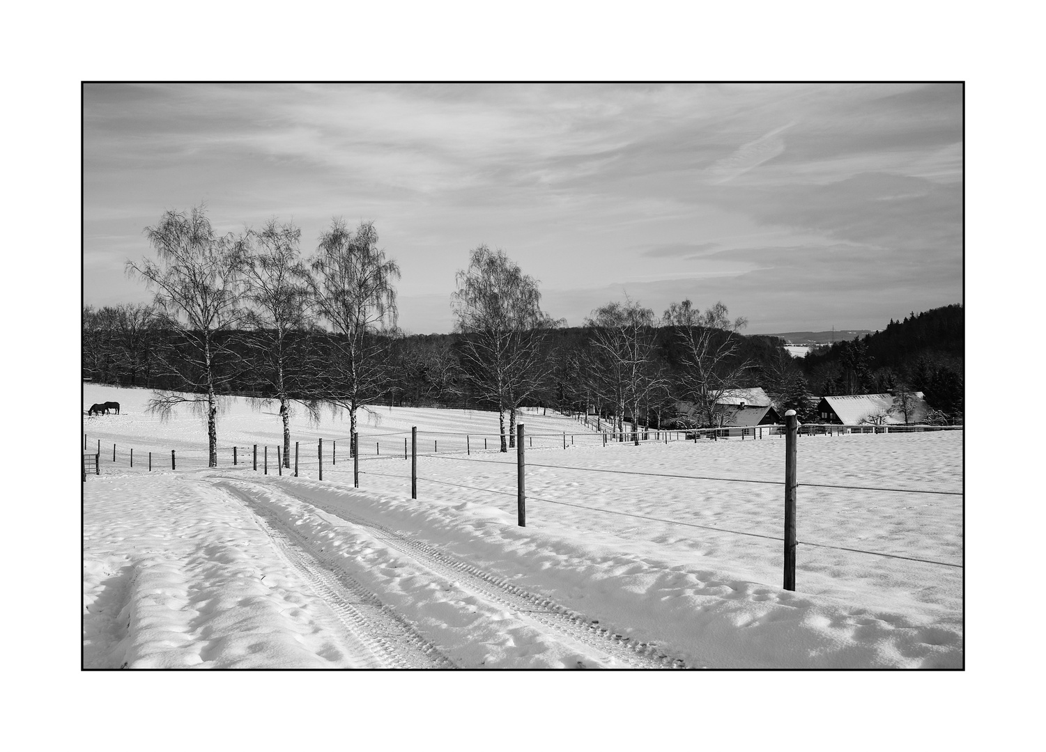 Winteridylle II