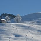 Winteridylle im Appenzell