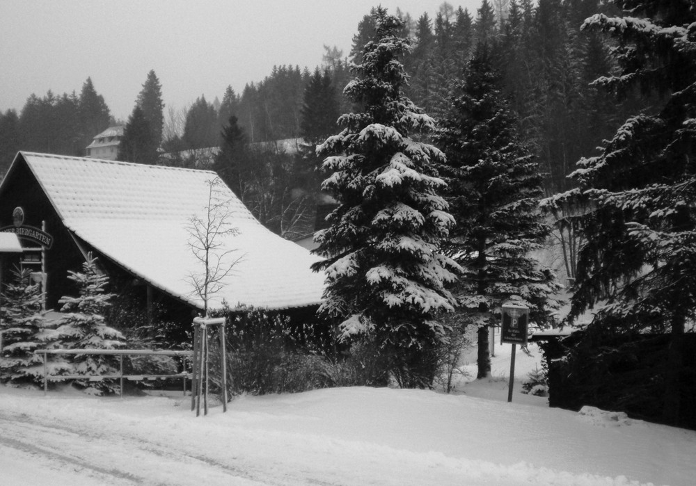 Winteridylle im Harz