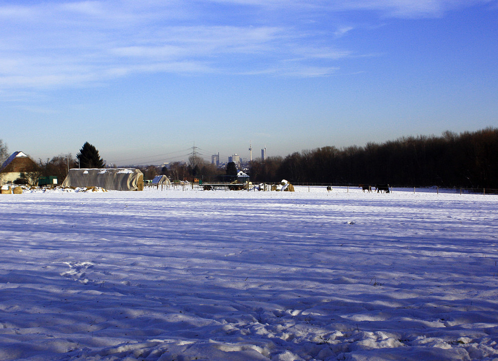 Winteridylle im Pott