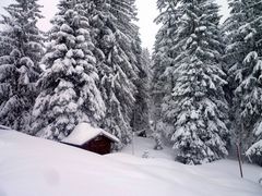 Winteridylle im Salwideli ...