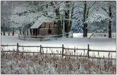 Winteridylle im Teichgebiet