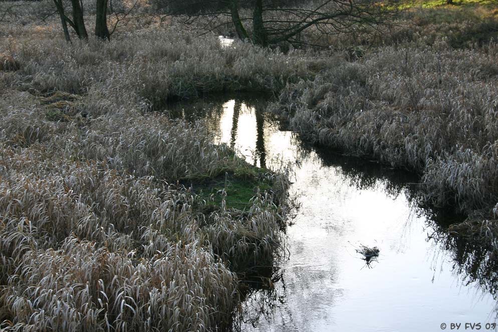 winteridylle im westerwald II