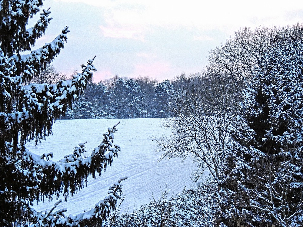 Winteridylle im Winkhauser Bachtal