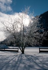 Winteridylle in Ettal