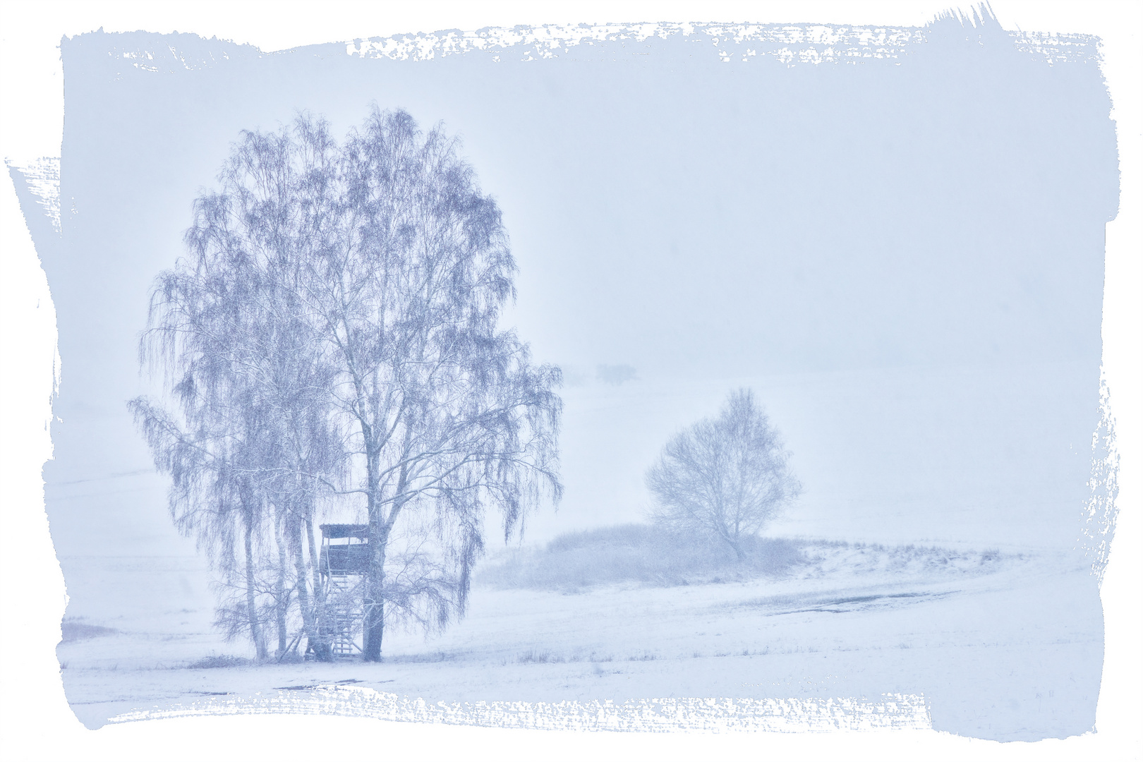 Winter_im Taunus