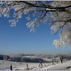 Winterimpresionen (1)