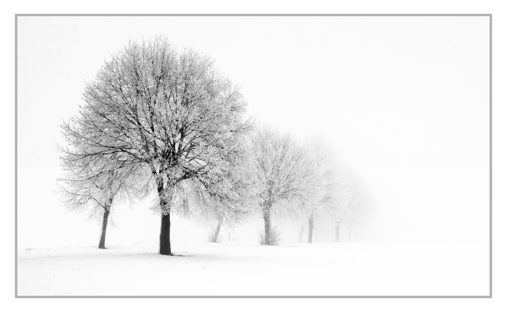 Winterimpression