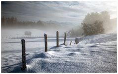 Winterimpression