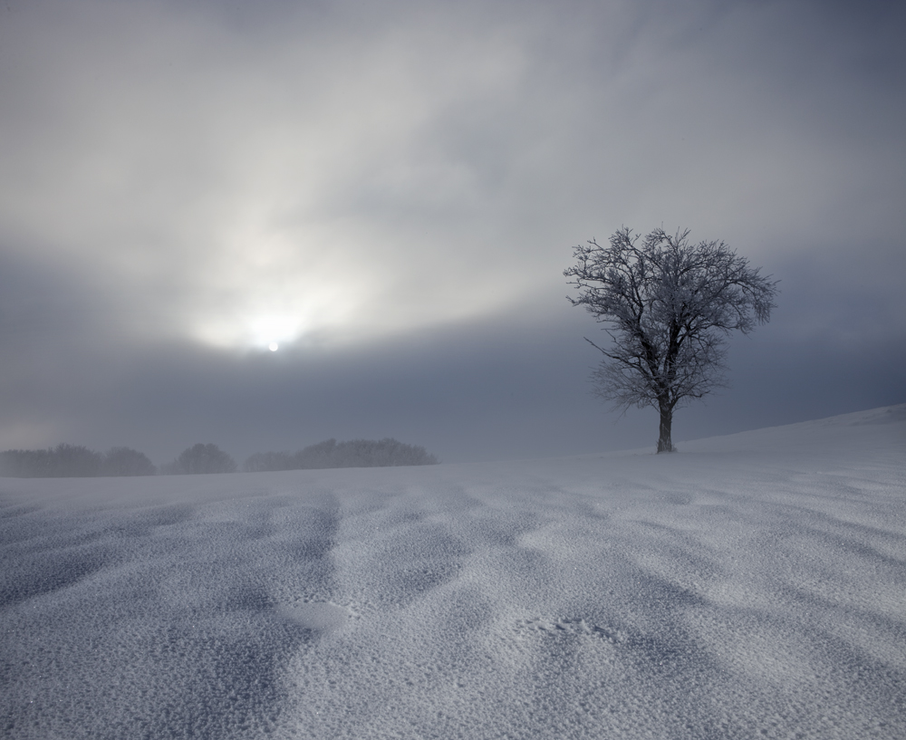 WINTERIMPRESSION