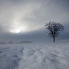 WINTERIMPRESSION