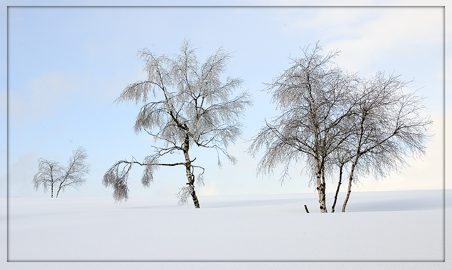 Winterimpression #1