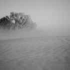 Winterimpression 1