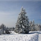 Winterimpression 1