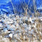 Winterimpression