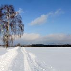 Winterimpression