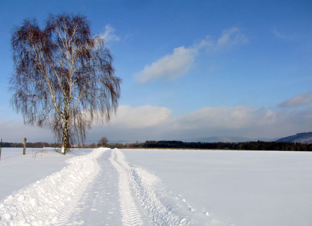 Winterimpression by Bernd Ullrich 