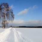 Winterimpression