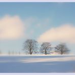 Winterimpression