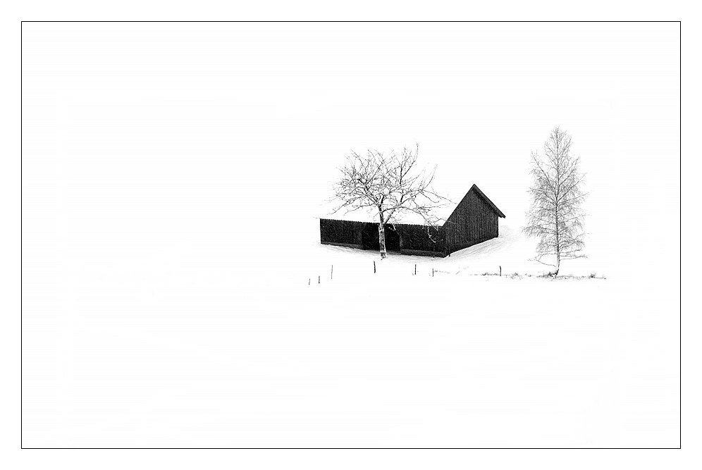 Winterimpression 2