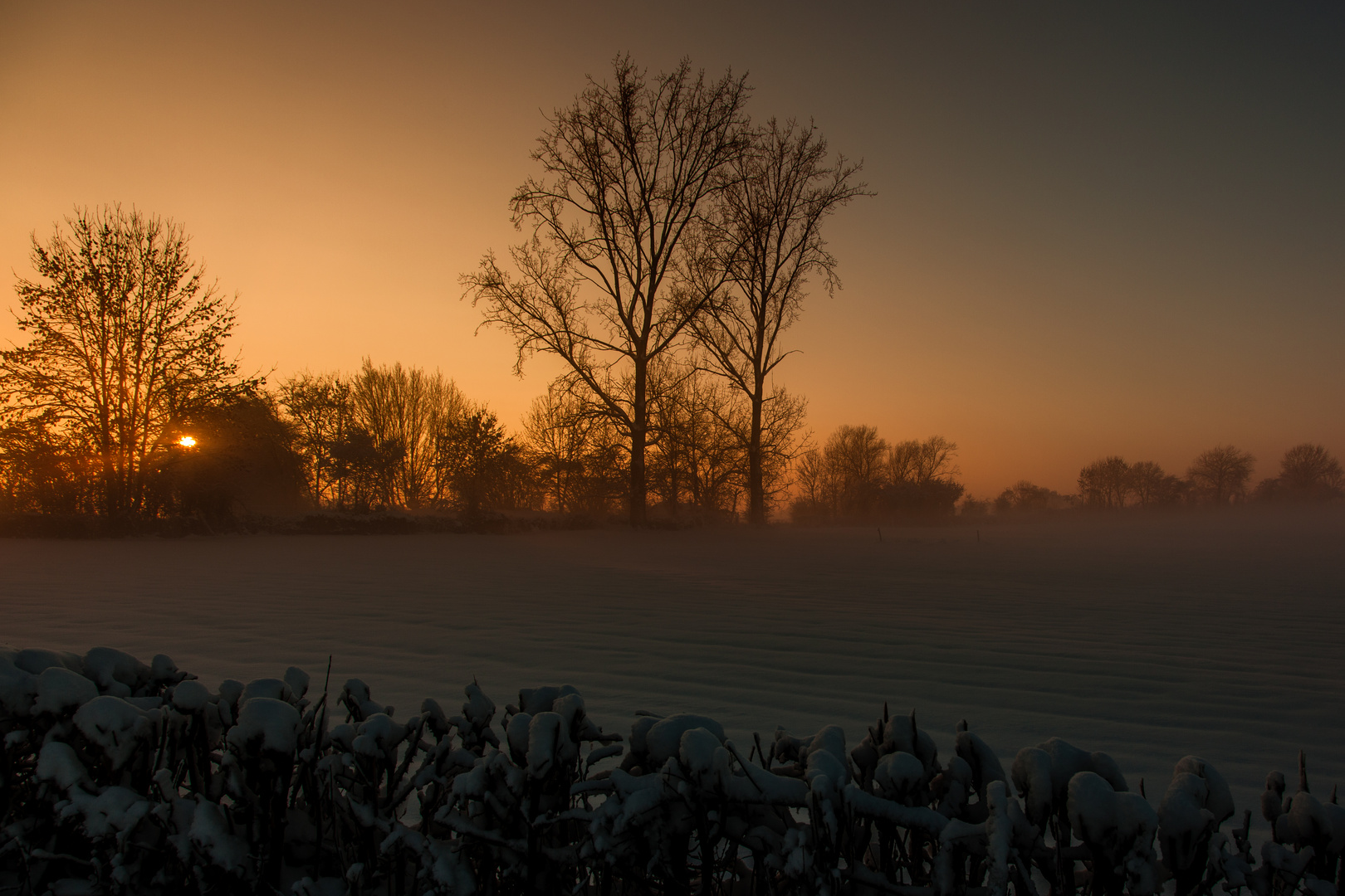 Winterimpression 2