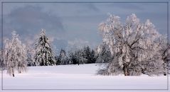 Winterimpression #2