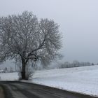 winterimpression