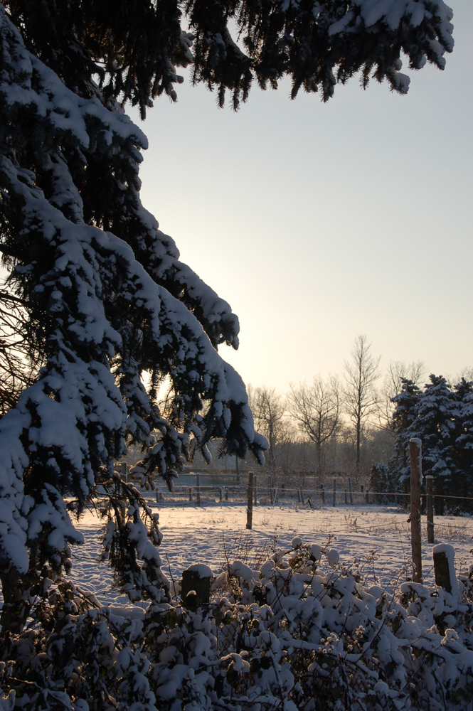 Winterimpression von Monika M.A. Becker 