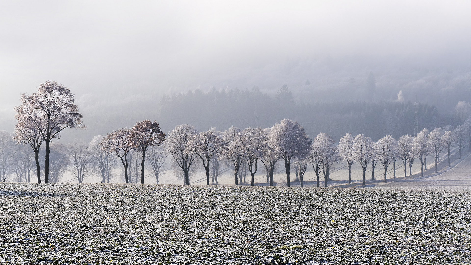 Winterimpression