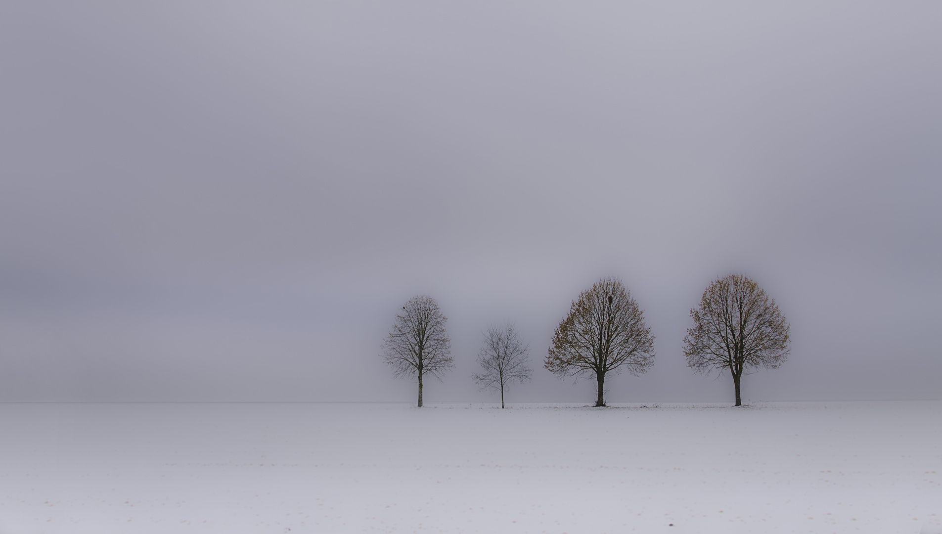 Winterimpression 3