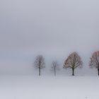 Winterimpression 3