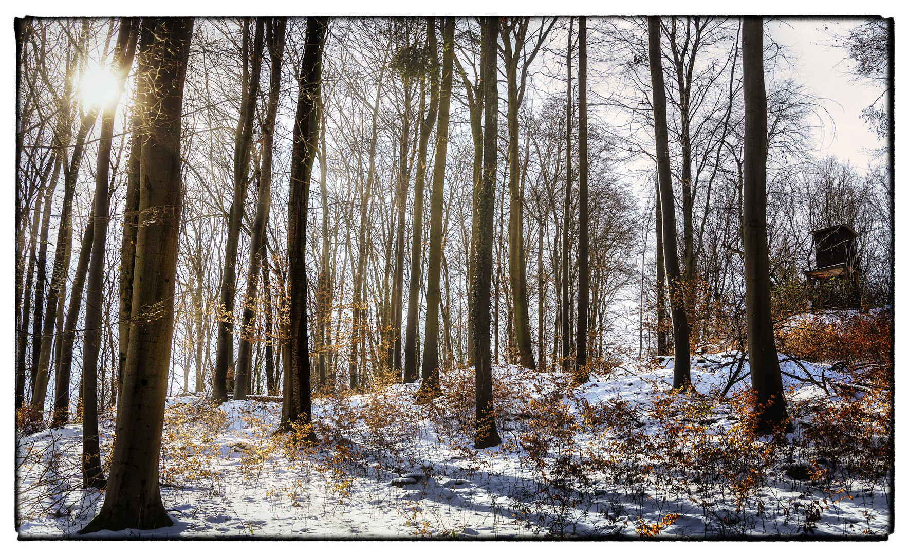 Winterimpression 4