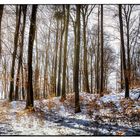 Winterimpression 4