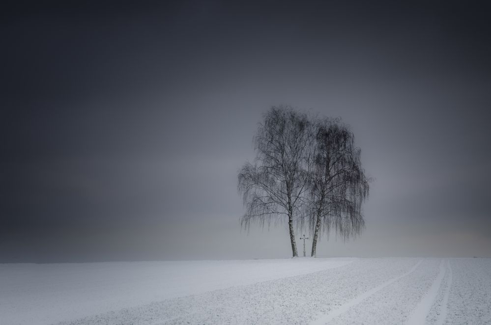 Winterimpression 4