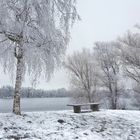 Winterimpression