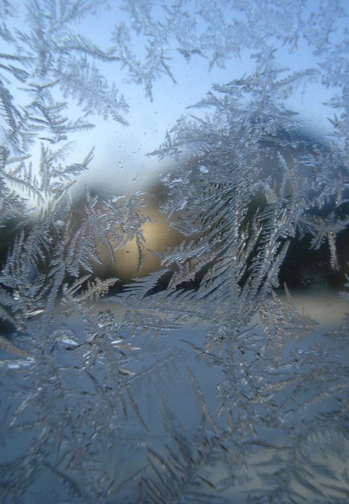 Winterimpression