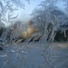 Winterimpression