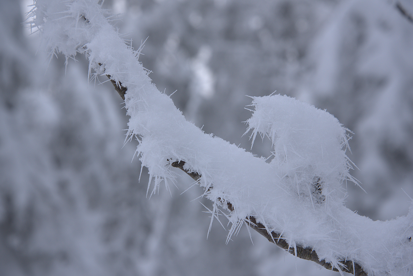 Winterimpression (6)