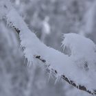 Winterimpression (6)