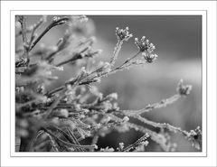 Winterimpression