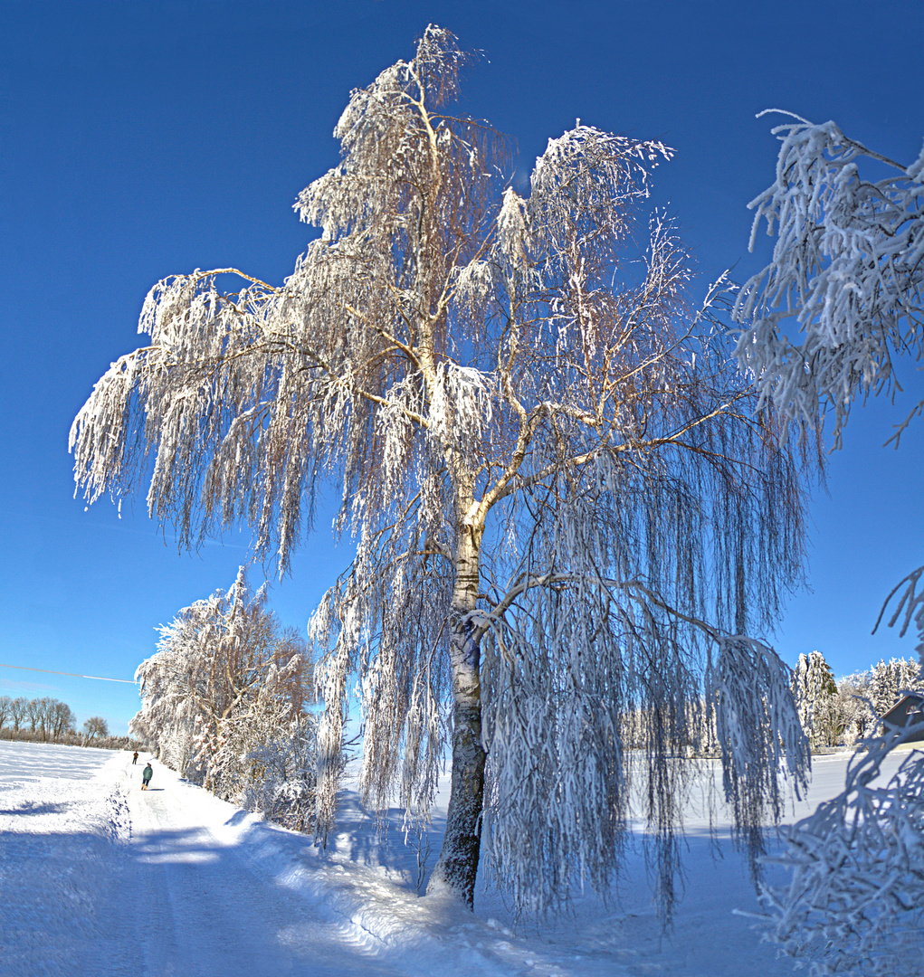 Winterimpression