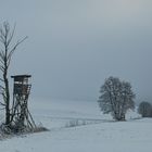 Winterimpression