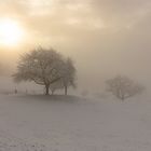 Winterimpression