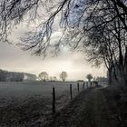 Winterimpression